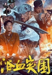 2025年国产战争片《浴血突围》HD国语中字