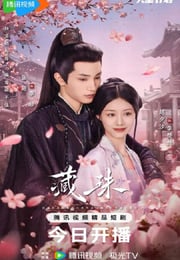 2025年国产大陆电视剧《藏珠》连载至10
