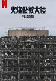 2025年英国纪录片《火烧伦敦大楼：致命真相》HD英语中字