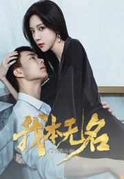 2025年国产大陆电视剧《我本无名》全24集