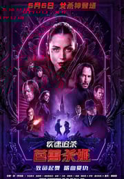 2025年美国7.3分动作片《疾速追杀：芭蕾杀姬》HD机翻中英双字