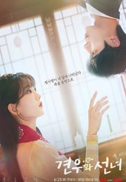 2025年韩国电视剧《牵牛和仙女》连载至03