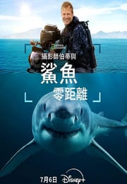 2025年美国纪录片《摄影师贝尔蒂与鲨鱼零距离》HD英语中字