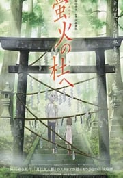 2011年日本经典动画片《萤火之森》蓝光日语中字