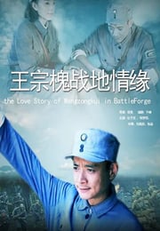2013年国产经典战争片《王宗槐战地情缘》HD国语中字