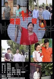 2020年国产喜剧片《奇葩胖嫂》HD国语中字