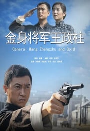2013年国产经典战争片《金身将军王政柱平》HD国语中字
