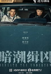 2025年国产大陆电视剧《暗潮缉凶》连载至08