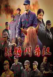 2013年国产经典战争片《战将周希汉》HD国语中字