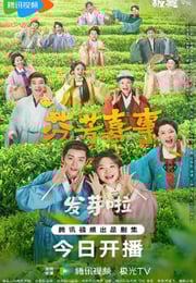 2025年国产大陆电视剧《芬芳喜事》连载至19