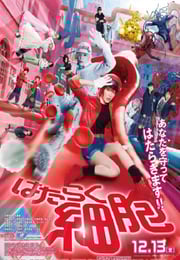 2024年日本奇幻片《工作细胞 真人版》BD国日双语中字