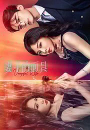 2025年国产大陆电视剧《妻子的面具》连载至24