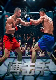 2025年国产动作片《搏击手》HD国语中字