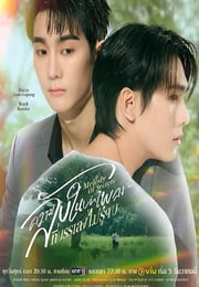 2025年泰国电视剧《觅密悬律》连载至03