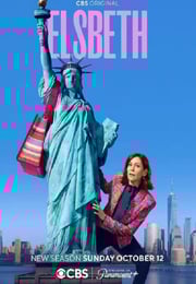 2025年美国电视剧《奇思妙探 第三季》全10集