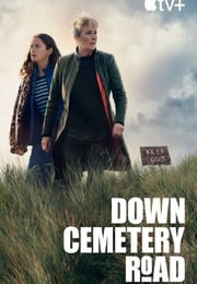 2025年英国电视剧《走向坟墓》全8集