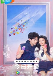 2025年国产大陆电视剧《狙击蝴蝶》连载至15