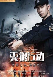 2020年国产动作片《灭狼行动》HD国语中字