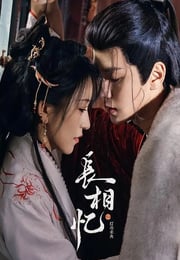 2025年国产大陆电视剧《长相忆之灯冶未央》连载至12