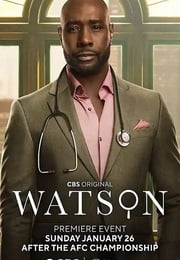 2025年美国电视剧《华生 第二季》连载至09