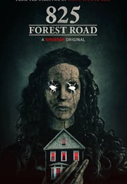 2025年美国恐怖片《林荫路825号》BD中英双字