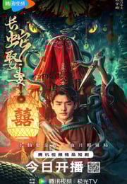 2026年国产大陆电视剧《长蛇娶妻》连载至12