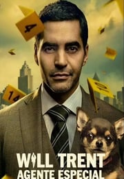 2026年美国电视剧《神探特伦特 第四季》连载至03