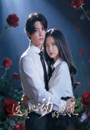 2026年国产大陆电视剧《这是心动的感觉》连载至24