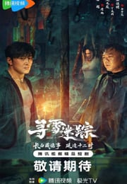 2026年国产大陆电视剧《寻雪迷踪》连载至17