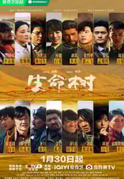 2026年国产大陆电视剧《生命树》连载至12