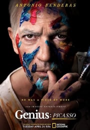 2018年美国电视剧《天才 第二季》全10集