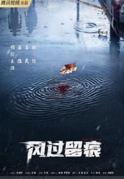 2026年国产大陆电视剧《风过留痕》连载至04