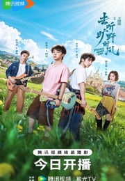 2026年国产大陆电视剧《去听旷野的风》连载至16