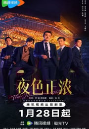 2026年国产大陆电视剧《夜色正浓》连载至15