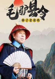 2014年国产喜剧片《毛驴县令之棒子老虎鸡》HD国语中字