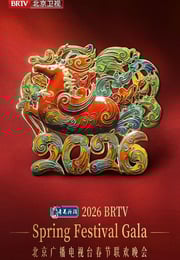 2026年北京广播电视台春节联欢晚会HD国语中字
