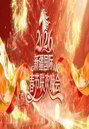 2026新疆国际春节联欢晚会HD国语中字