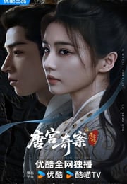 2026年国产大陆电视剧《唐宫奇案之青雾风鸣》连载至06