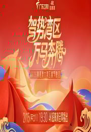 驾势湾区万马奔腾——2026粤港澳大湾区春节晚会HD国语中字