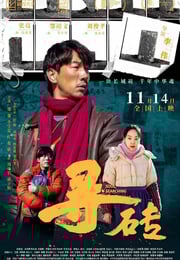 2025年国产剧情片《寻砖》HD国语中字