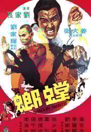 1978年中国香港经典动作片《螳螂》蓝光国英双语中字