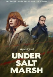 2026年英国电视剧《盐沼之下》连载至02