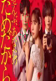 2026年日本电视剧《一切都是为了你》连载至04