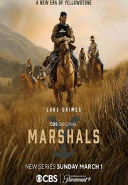 2026年美国电视剧《法警小队》连载至02