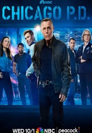 2025年美国电视剧《芝加哥警署 第十三季》连载至13