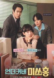 2026年韩国电视剧《卧底洪小姐》连载至16