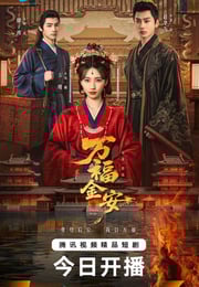 2026年国产电视剧《万福金安》 连载至第12集