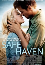 2013年美国电影《爱情避风港》蓝光中英双字