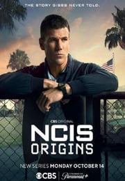 2025年美国电视剧《海军罪案调查处：溯源 第二季》连载至09