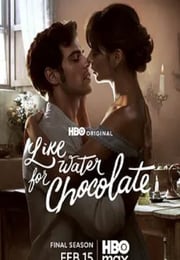 2026年美国电视剧《巧克力情人 第二季》连载至04